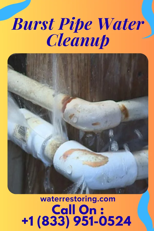 Burst Pipe Water Cleanup in Castle Point, MO