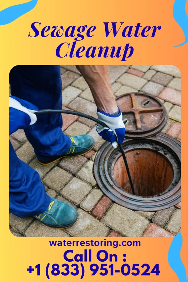 Sewage Water Cleanup in Castle Point, MO